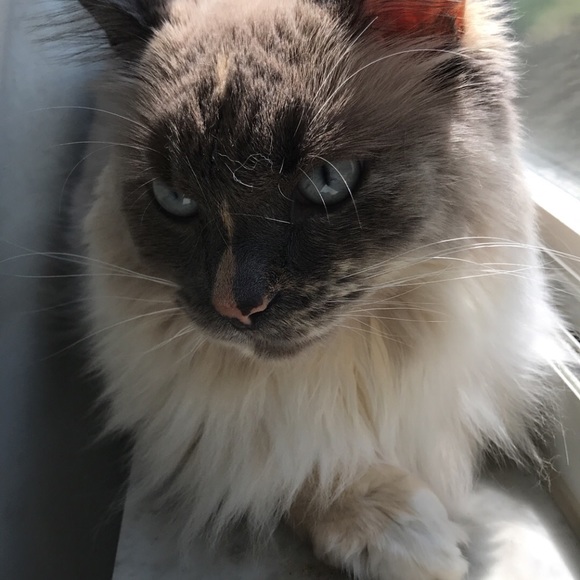 aprilkitts